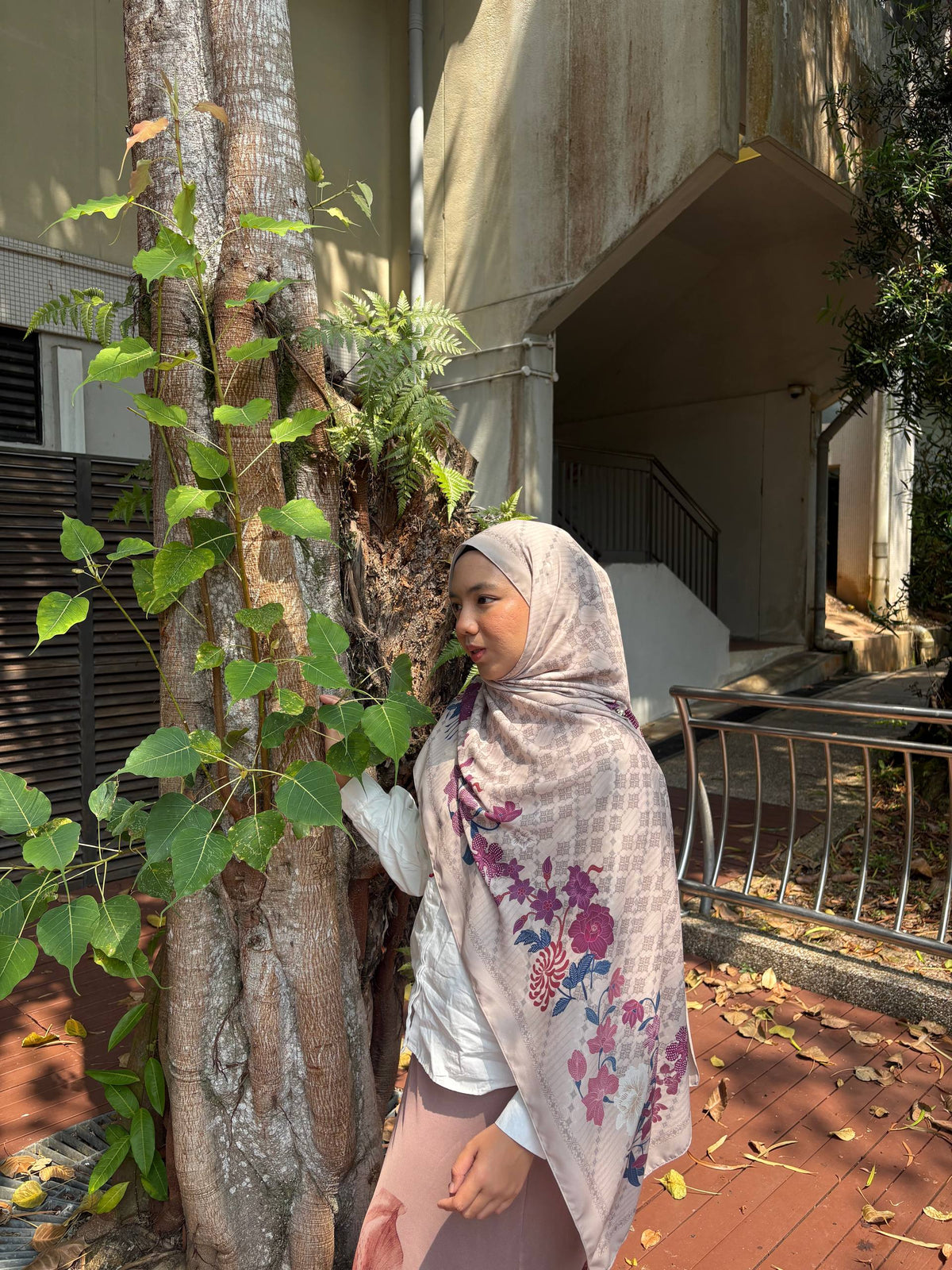 Cempaka